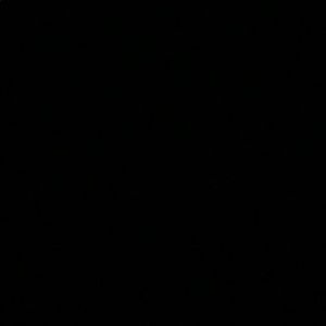 Meet your Posher, Maddie